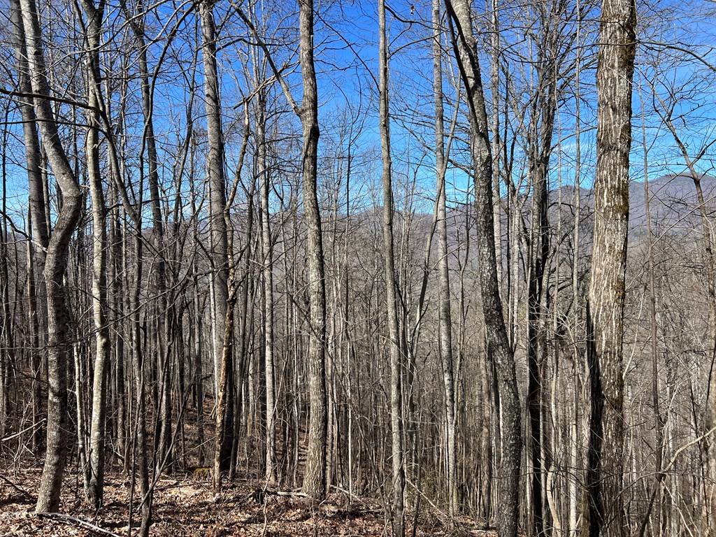 Hiawassee, GA 30546,Lot 15 Bear Trail,Phase 2