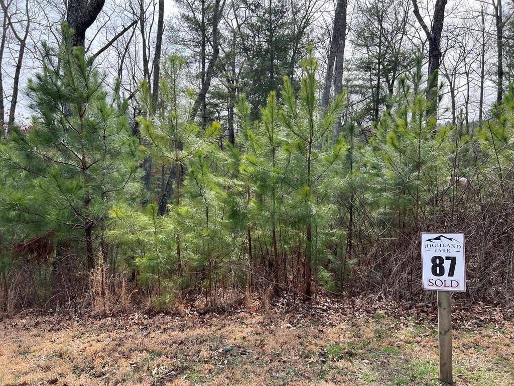 Blairsville, GA 30512,Lot 87 High Point Trail