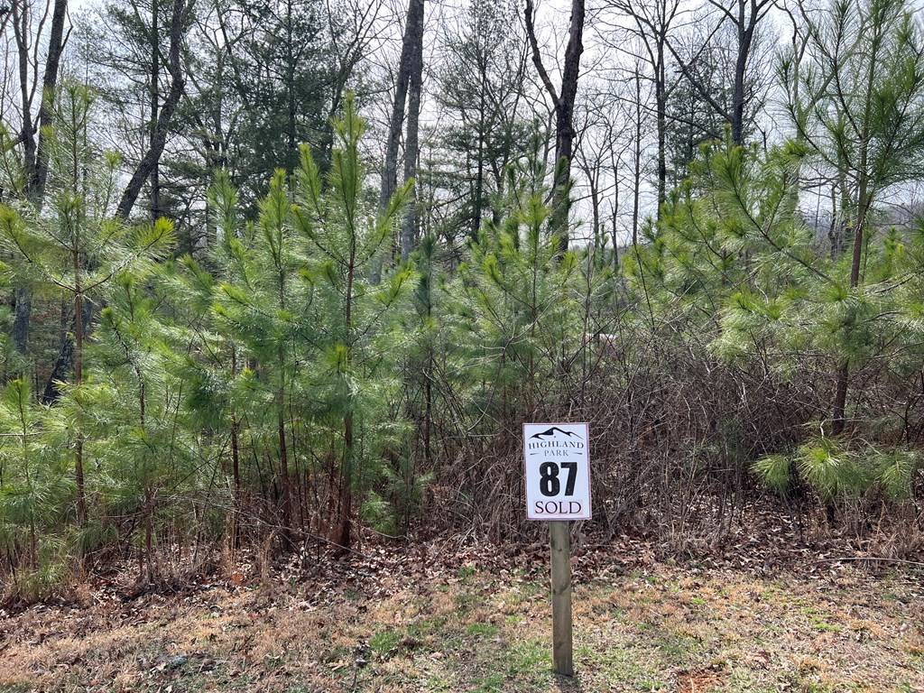 Blairsville, GA 30512,Lot 87 High Point Trail