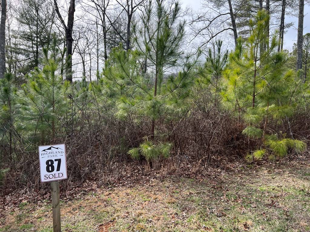 Blairsville, GA 30512,Lot 87 High Point Trail