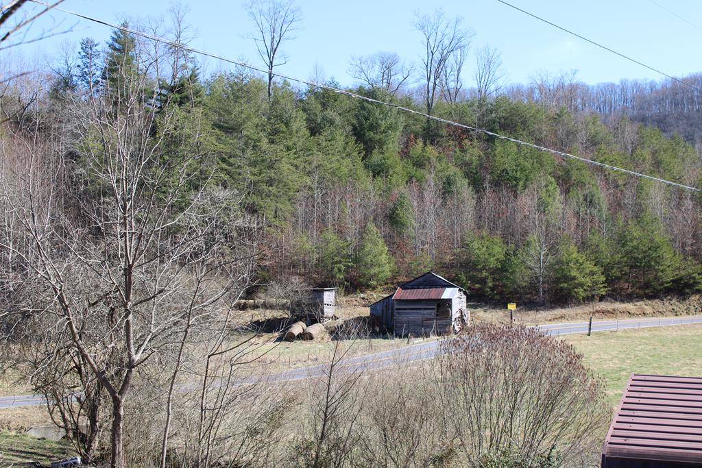 Hayesville, NC 28904,110 Cart Carter Cove Road S