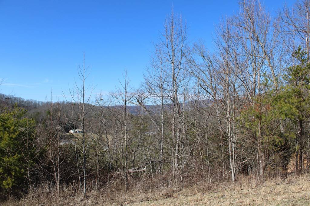 Hayesville, NC 28904,110 Cart Carter Cove Road S