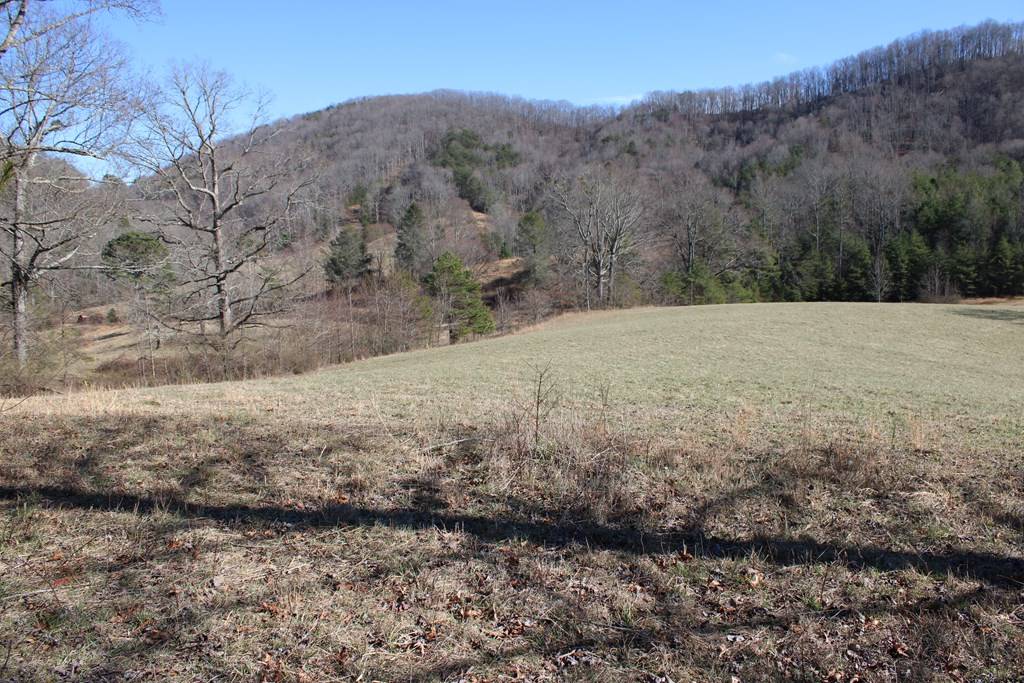 Hayesville, NC 28904,110 Cart Carter Cove Road S