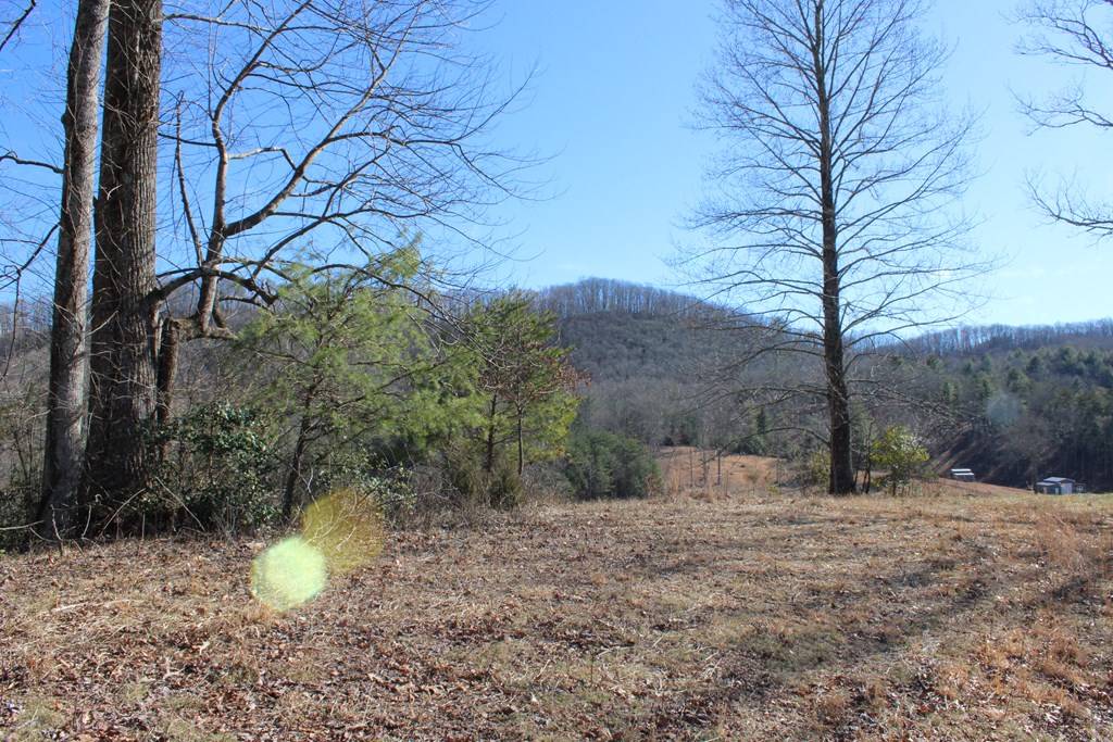 Hayesville, NC 28904,110 Cart Carter Cove Road S