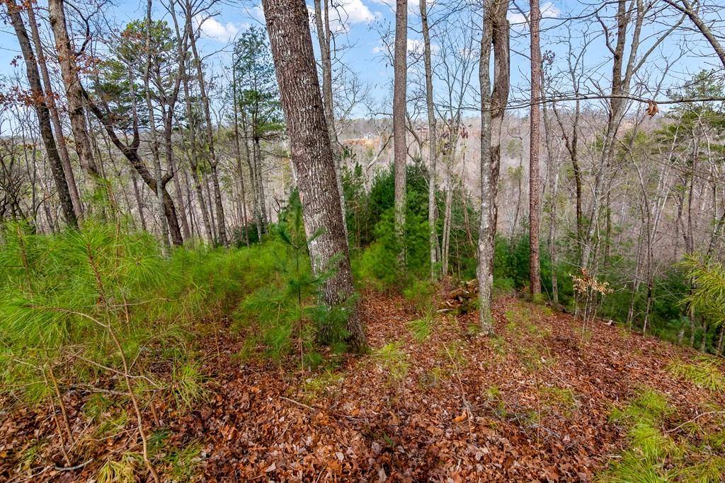 Ellijay, GA 30540,Address not disclosed