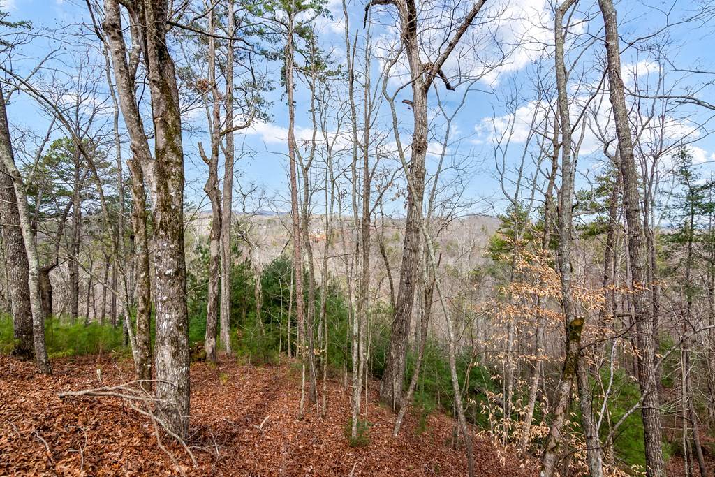 Ellijay, GA 30540,Address not disclosed