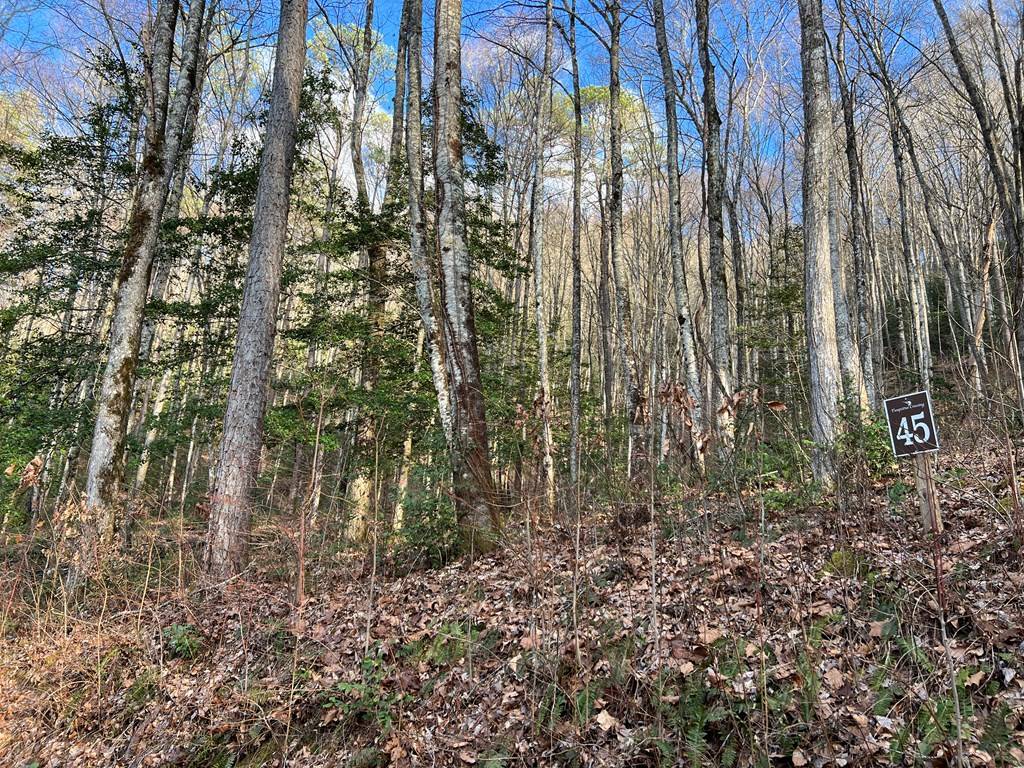 Hayesville, NC 28904,Lot 45 Tusquittee Crossing