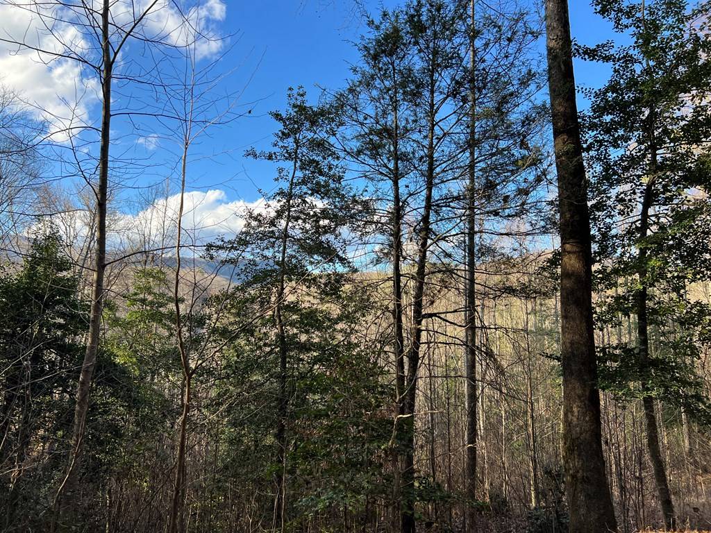 Hayesville, NC 28904,Lot 45 Tusquittee Crossing