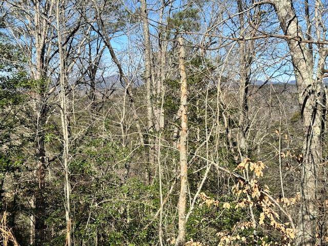 Ellijay, GA 30540,Lot 1198 Lancer Court