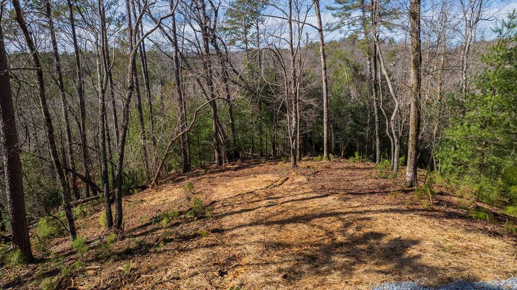 Ellijay, GA 30540,324 Parody Circle