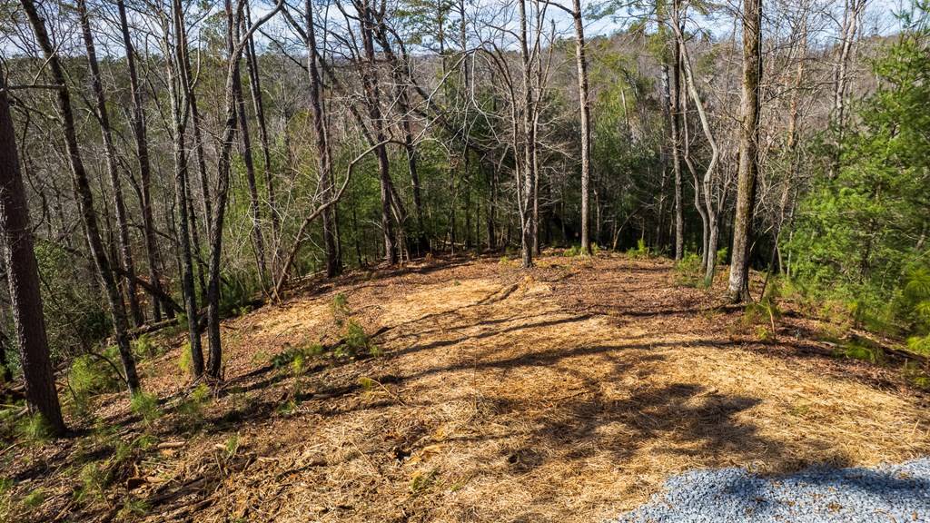 Ellijay, GA 30540,324 Parody Circle