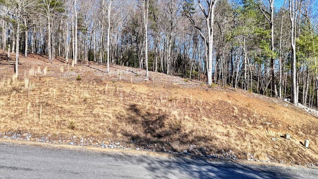 Morganton, GA 30560,Lot 2 Ridges Of Blue Ridge