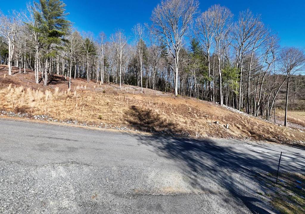 Morganton, GA 30560,Lot 2 Ridges Of Blue Ridge