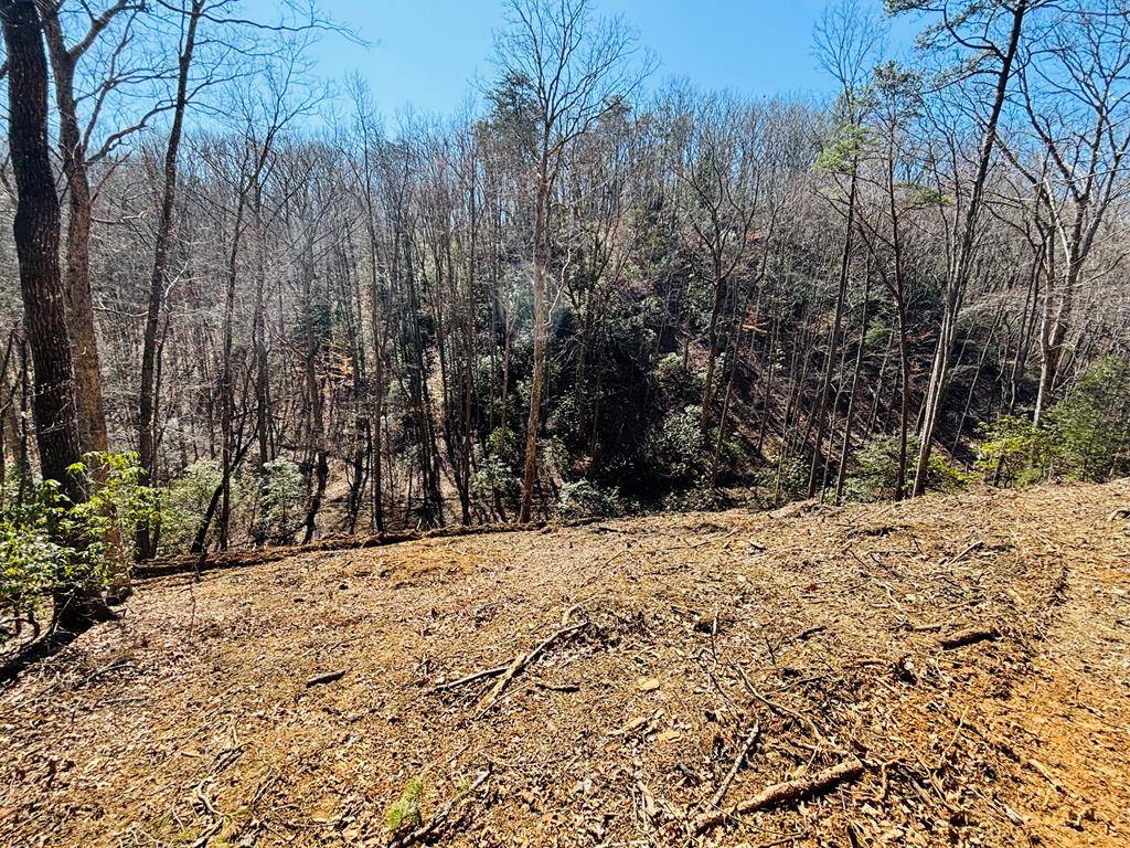 Blue Ridge, GA 30513,2.49 Ac Mountain Tops Circle