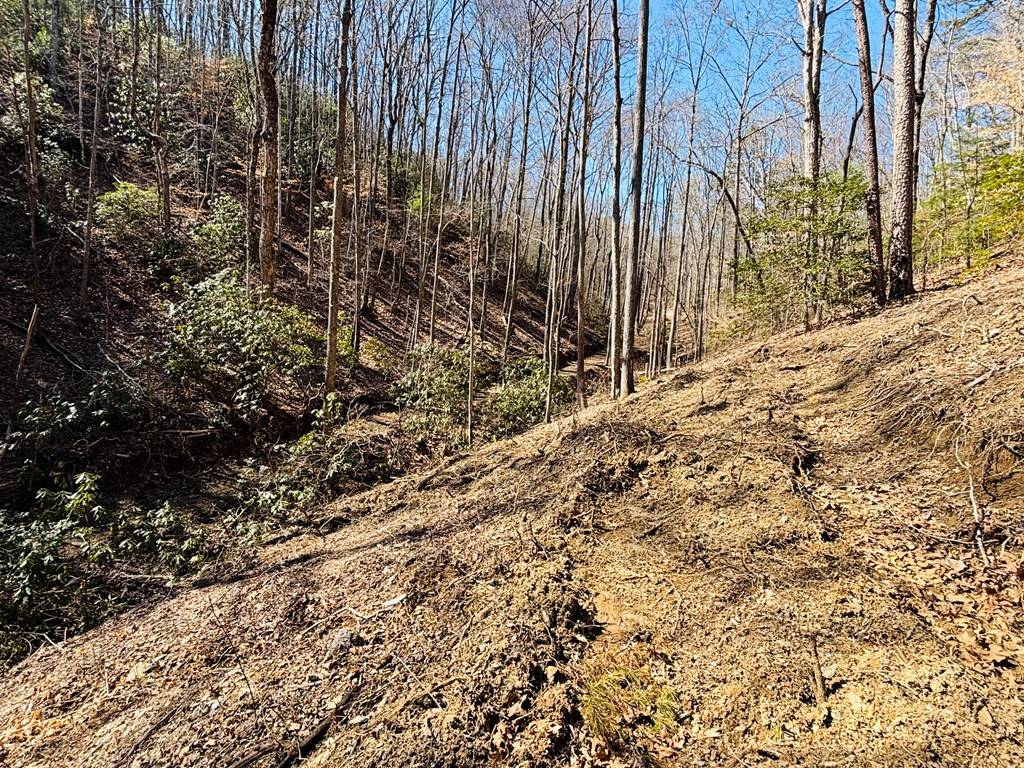 Blue Ridge, GA 30513,2.49 Ac Mountain Tops Circle