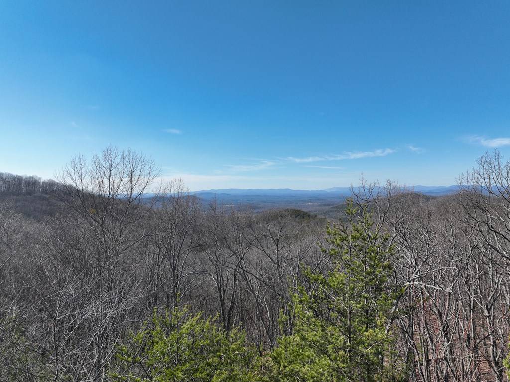 Ellijay, GA 30536,57 St Andrews Way