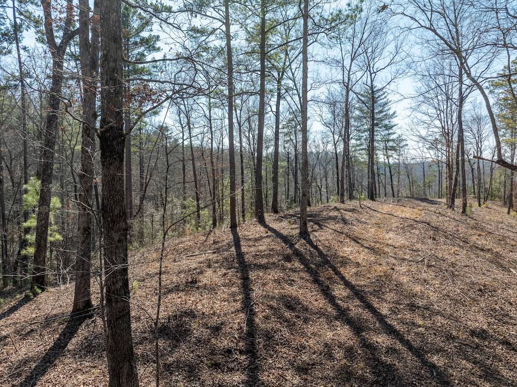 Ellijay, GA 30540,LT 134 Sundown Trail