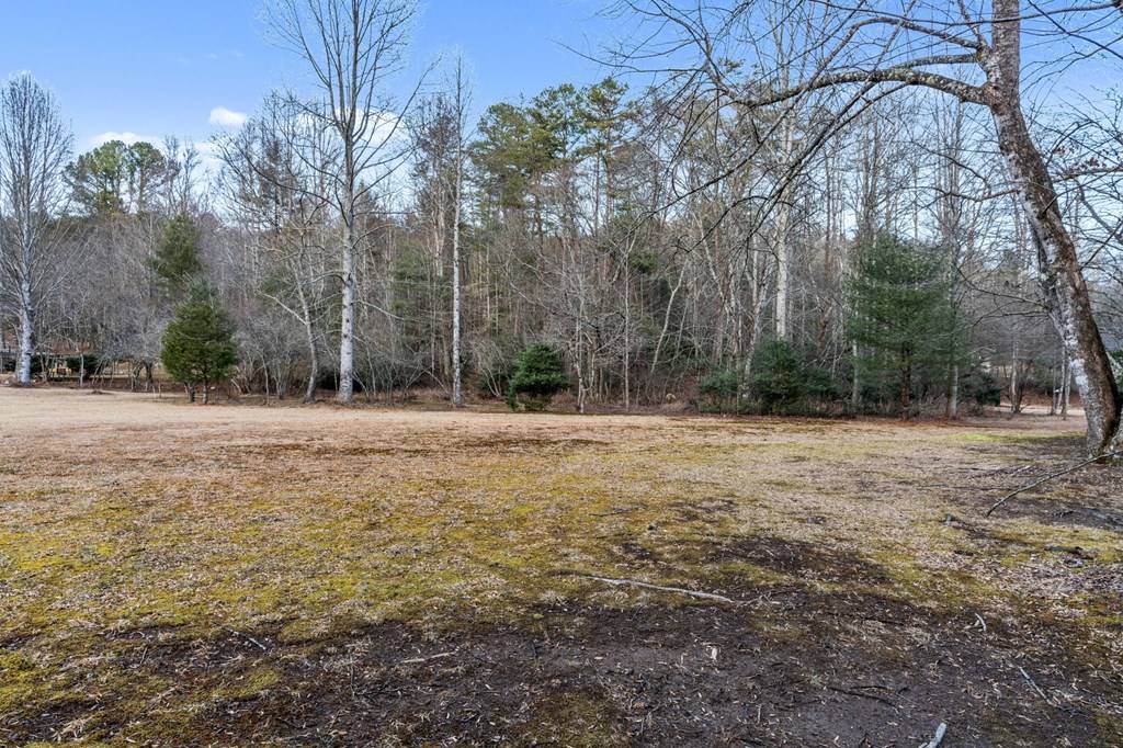 Blue Ridge, GA 30513,3.2 Ac Stanley Creek Road