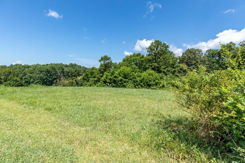 Blairsville, GA 30512,Lot 15 Brookledge Court