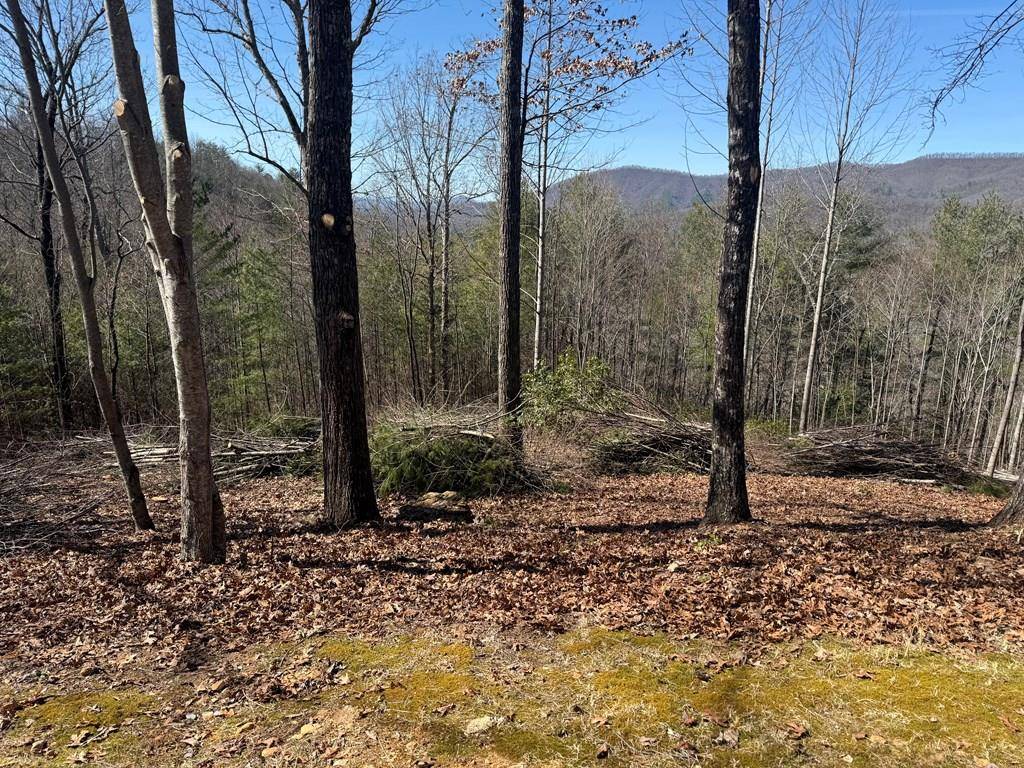 Hayesville, NC 28904,Lot 56 Fires Creek Cove Road