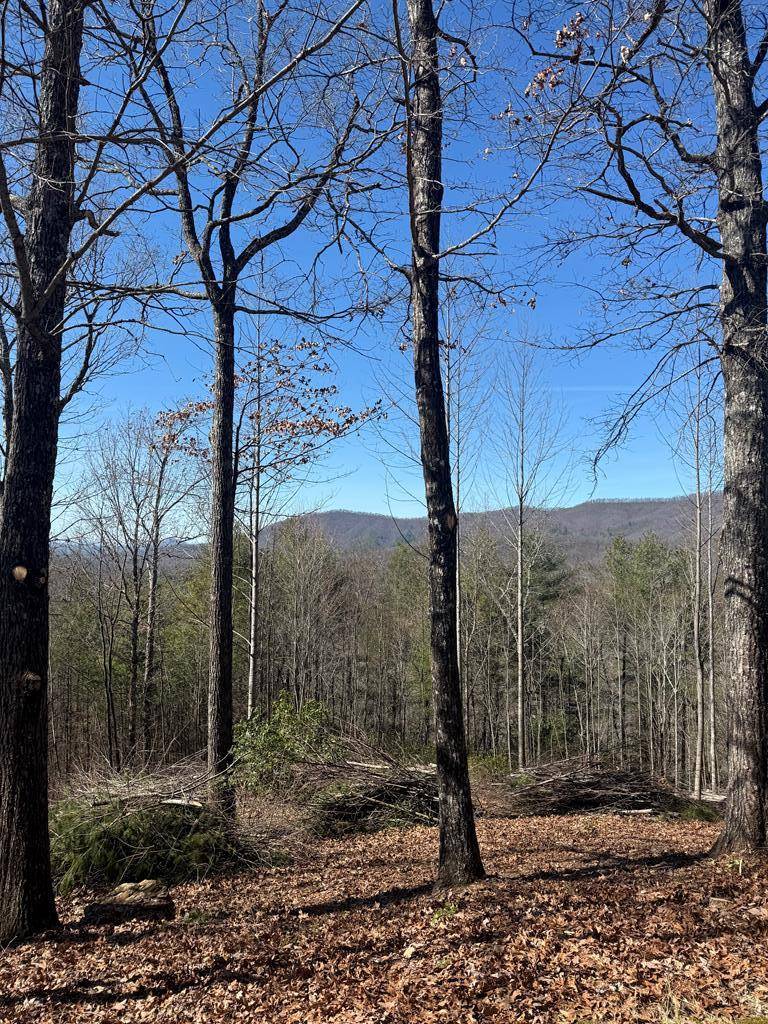 Hayesville, NC 28904,Lot 56 Fires Creek Cove Road