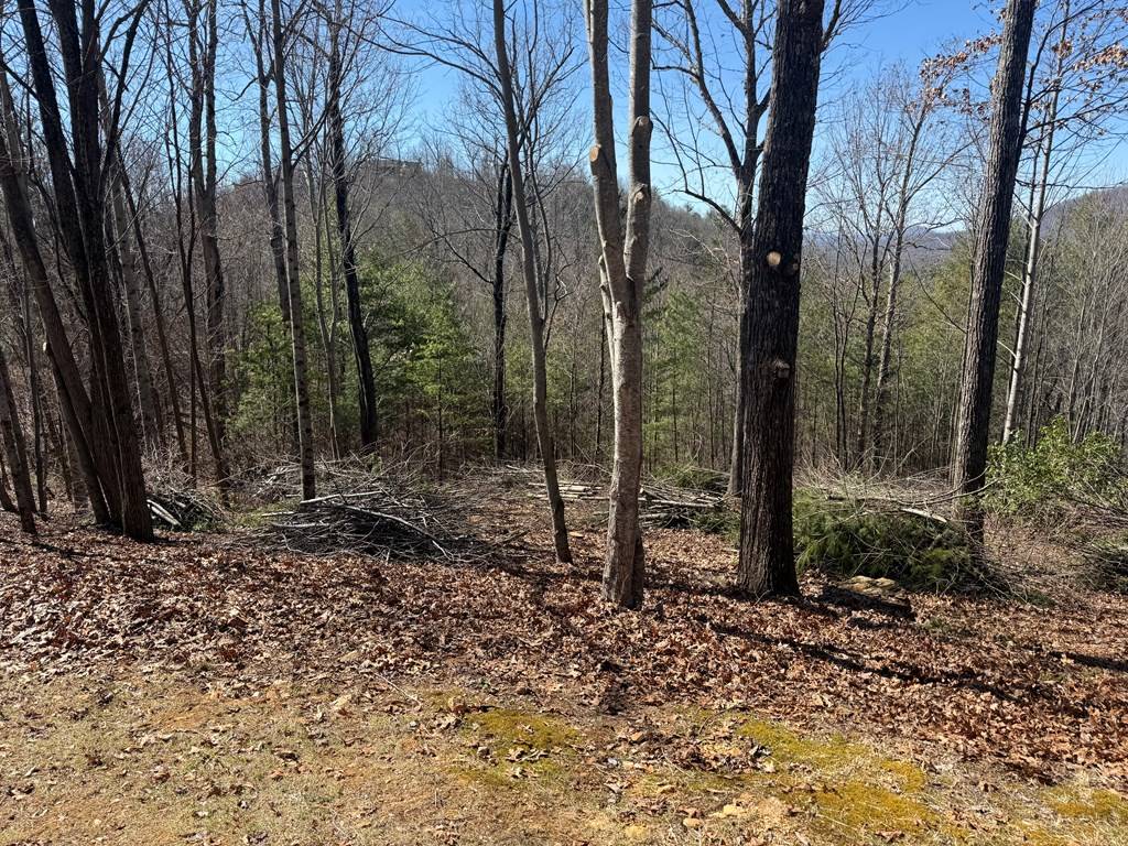 Hayesville, NC 28904,Lot 56 Fires Creek Cove Road