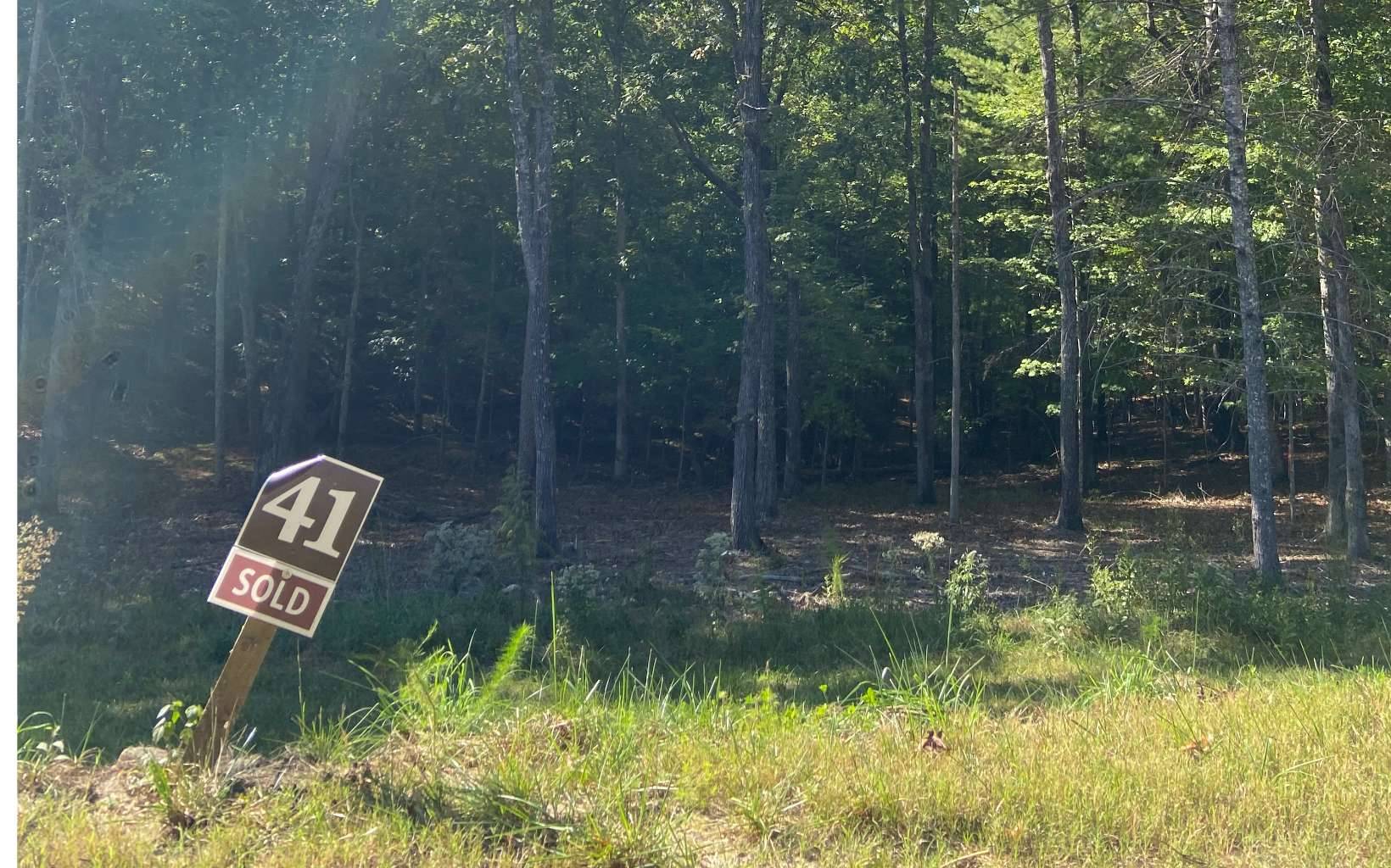 Morganton, GA 30560,Lot 41 Ridge Drive