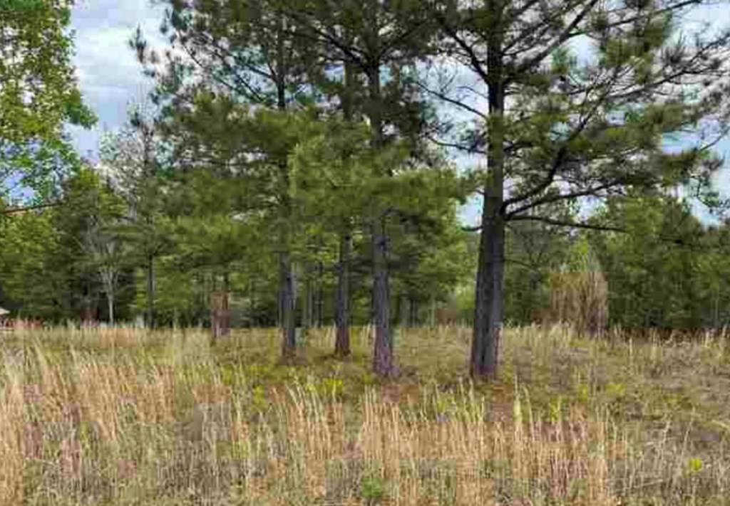 Blairsville, GA 30512,LOT 65 Village Loop