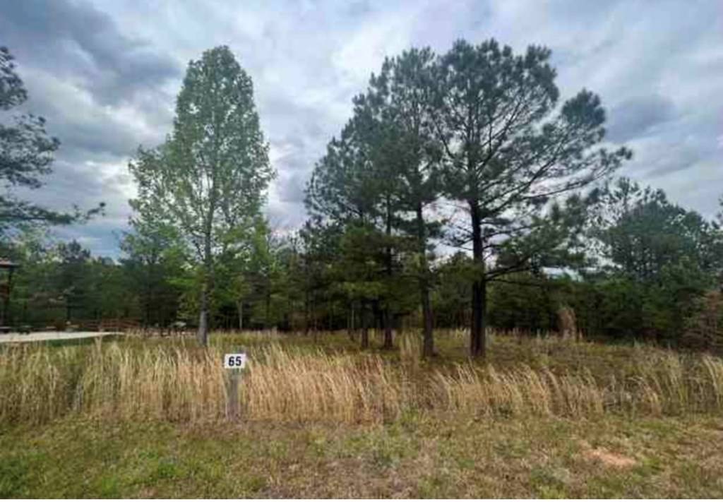 Blairsville, GA 30512,LOT 65 Village Loop