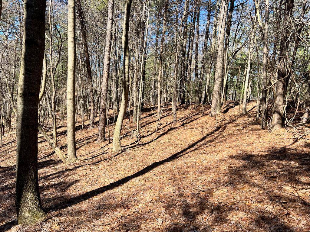 Ellijay, GA 30536,Lot 32 Lakeview Circle