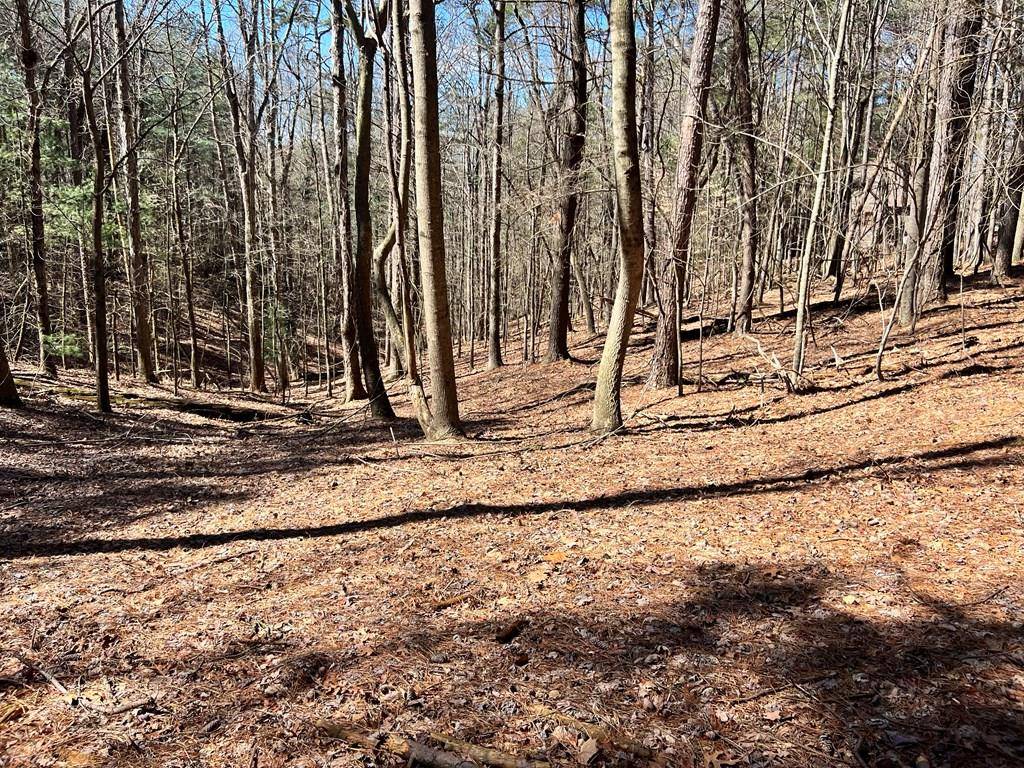 Ellijay, GA 30536,Lot 32 Lakeview Circle