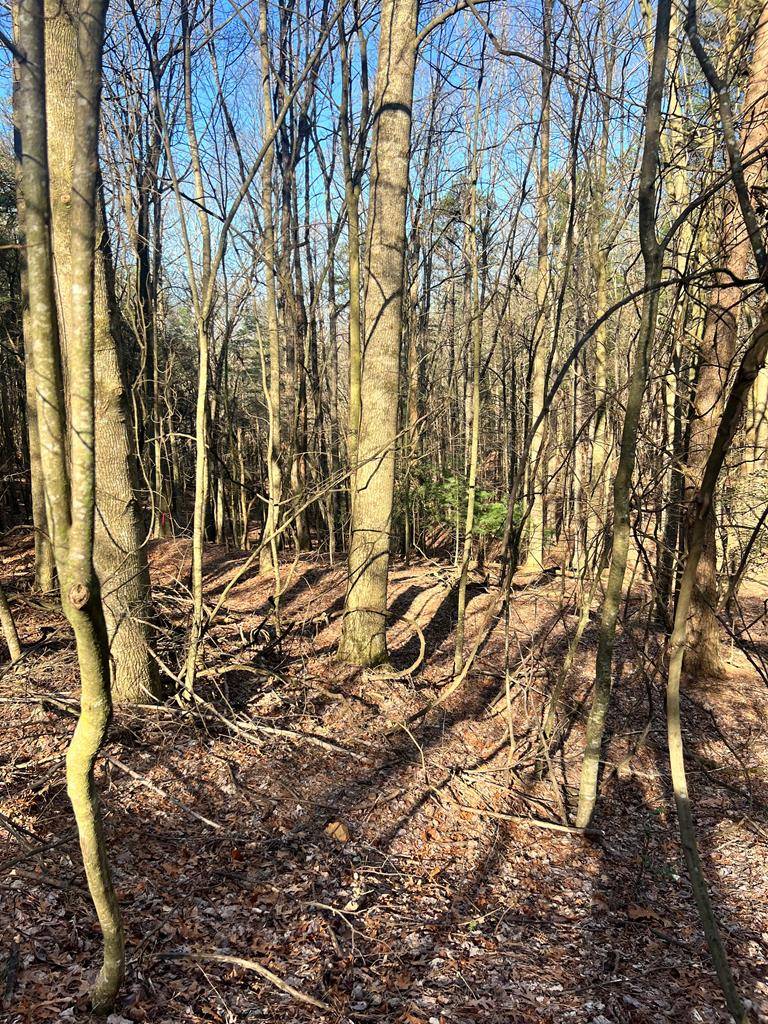 Ellijay, GA 30536,Lot 32 Lakeview Circle