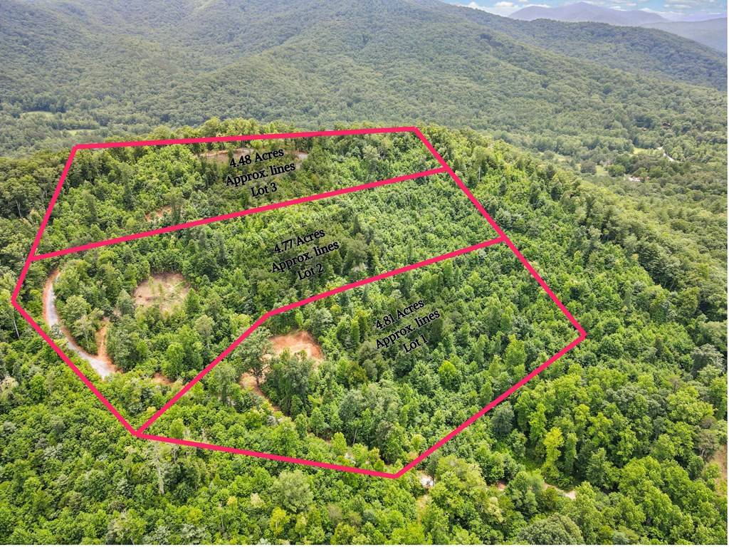 Hiawassee, GA 30546,4.48 AC Tom Wheeler Road