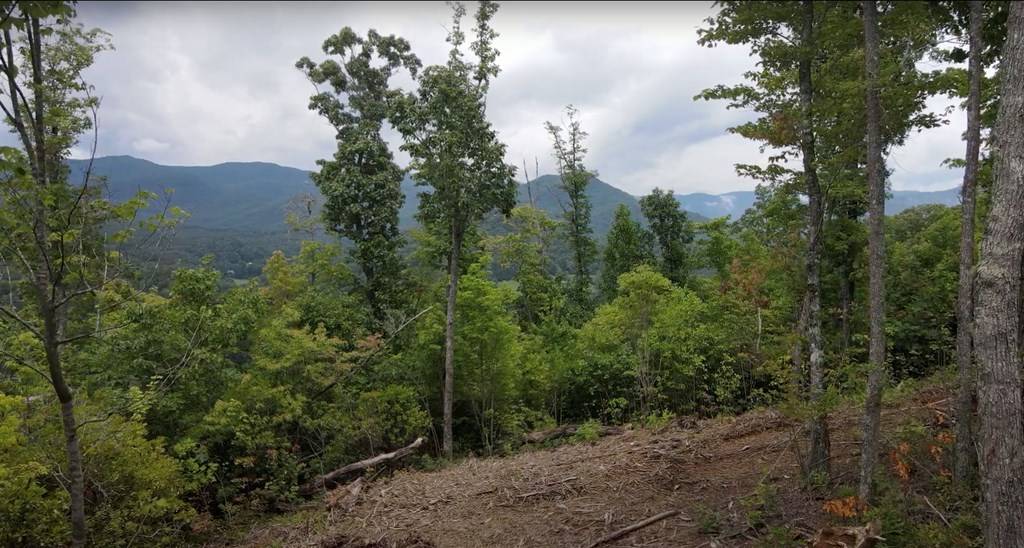 Hiawassee, GA 30546,4.48 AC Tom Wheeler Road