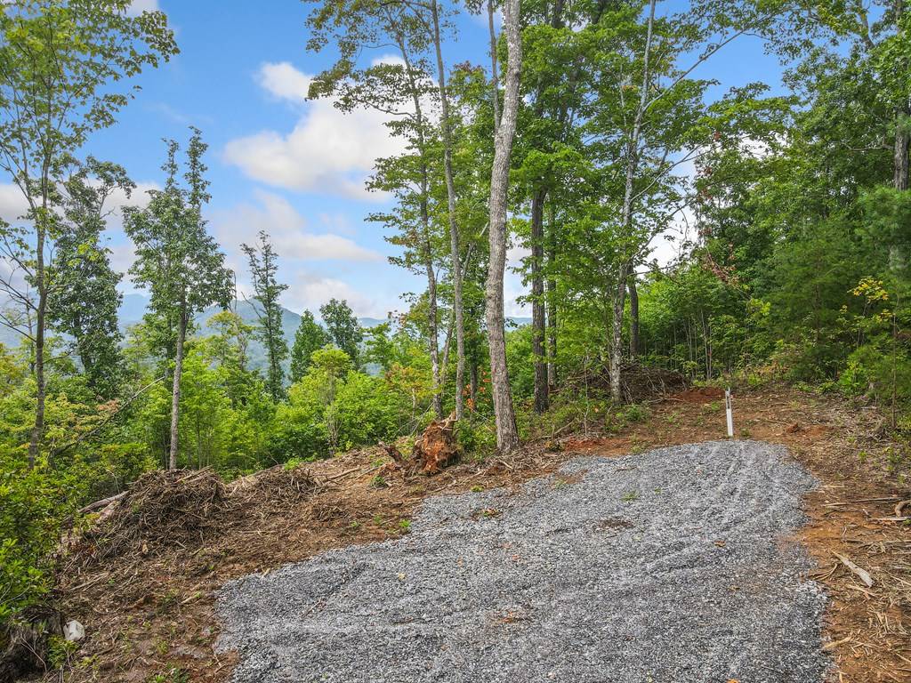 Hiawassee, GA 30546,4.48 AC Tom Wheeler Road