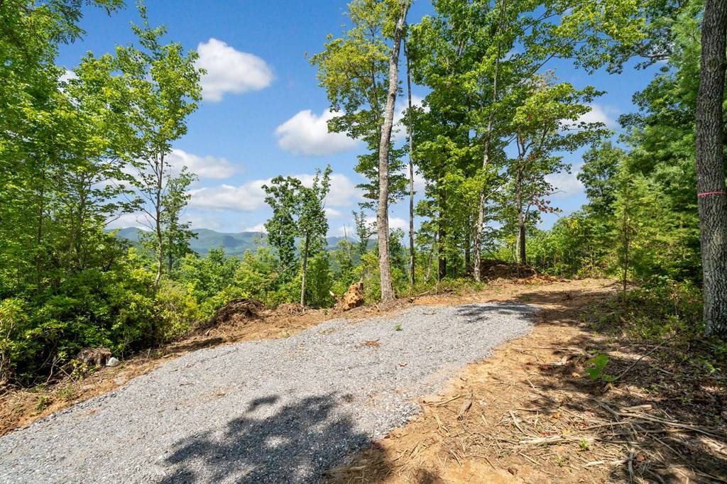 Hiawassee, GA 30546,4.48 AC Tom Wheeler Road