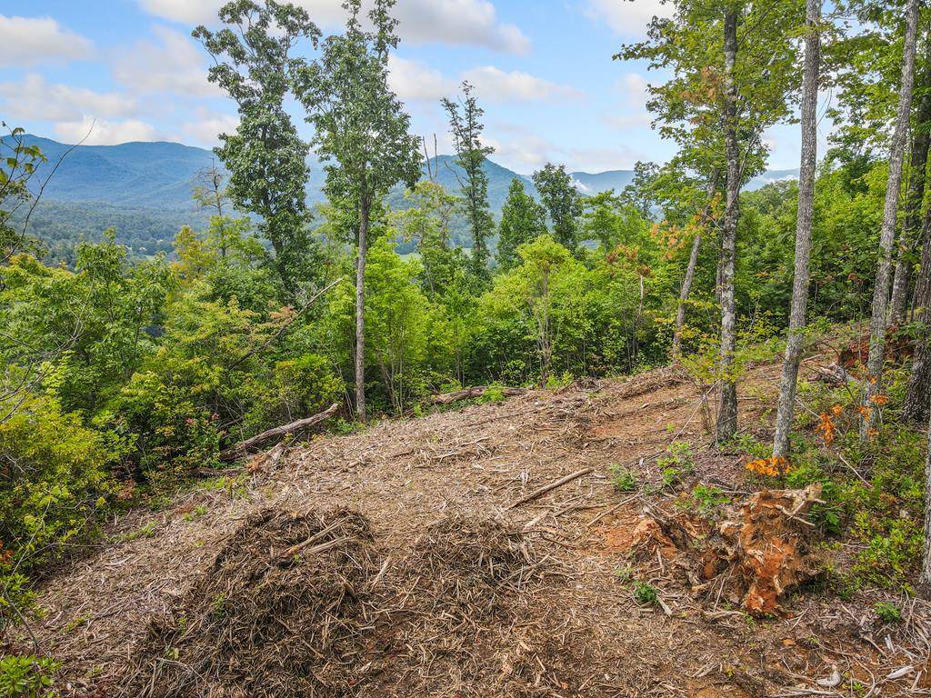 Hiawassee, GA 30546,4.77 AC Tom Wheeler Road