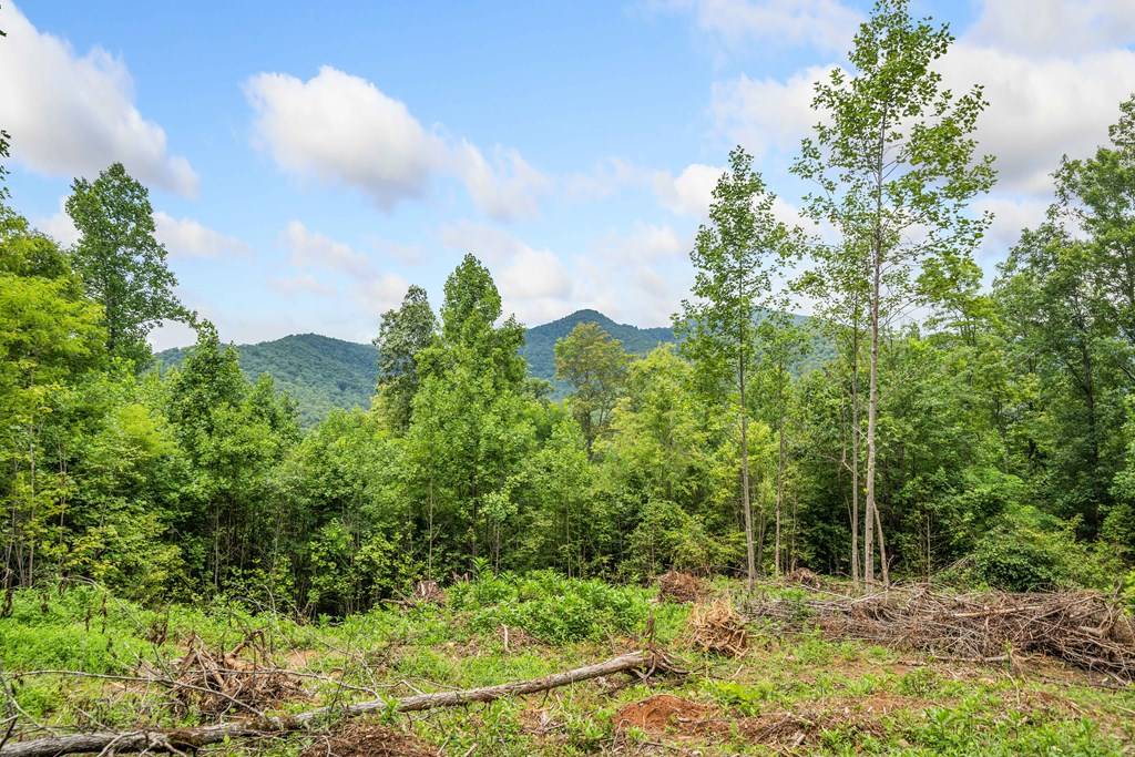 Hiawassee, GA 30546,4.77 AC Tom Wheeler Road