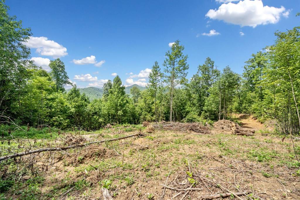 Hiawassee, GA 30546,4.77 AC Tom Wheeler Road