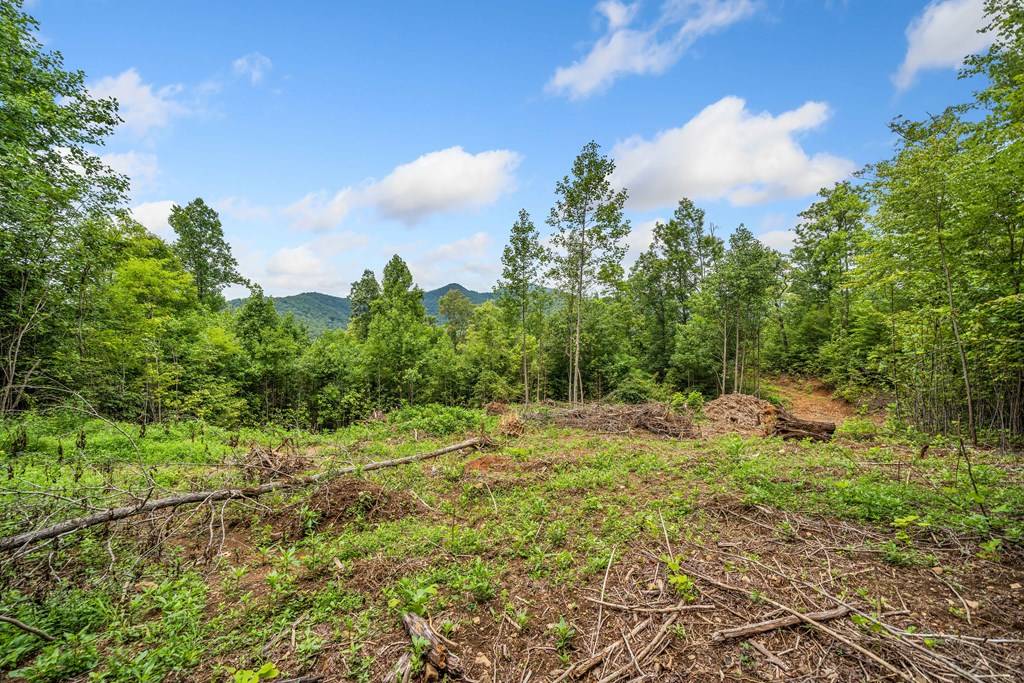 Hiawassee, GA 30546,4.77 AC Tom Wheeler Road