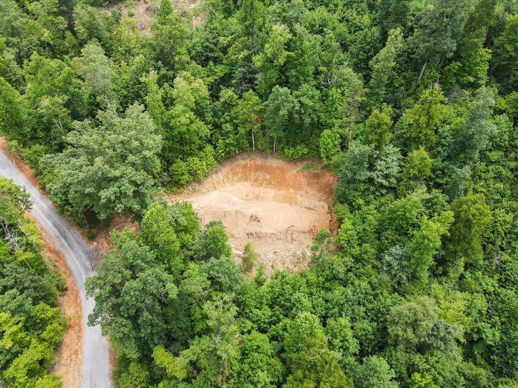 Hiawassee, GA 30546,4.81 AC Tom Wheeler Road