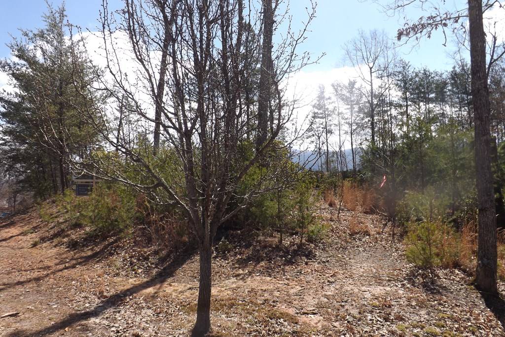 Young Harris, GA 30582,LOT 51 Ray Drive Dblsprings