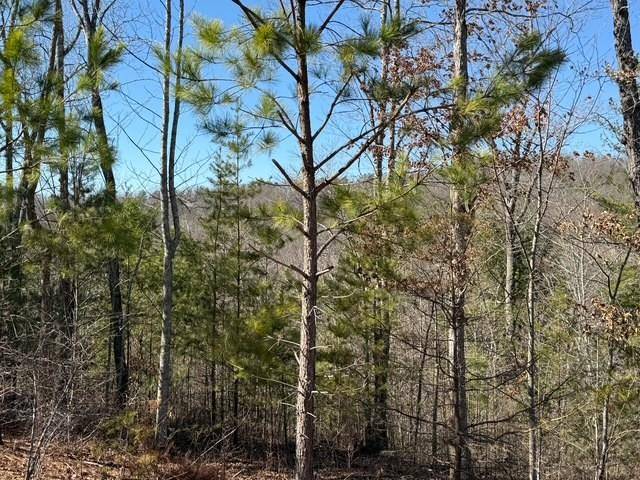 Blue Ridge, GA 30513,Lot #11 Long View Lane