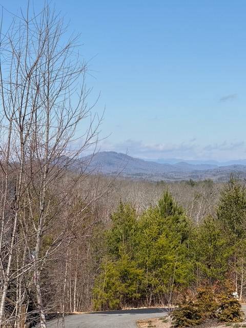 Blue Ridge, GA 30513,Lot #11 Long View Lane