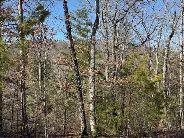 Blue Ridge, GA 30513,Lot #11 Long View Lane