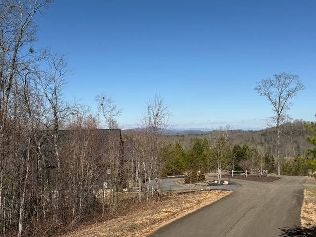 Blue Ridge, GA 30513,Lot #11 Long View Lane