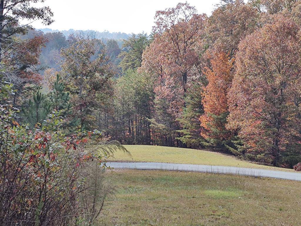 Mineral Bluff, GA 30559,34/35 Wolf Creek Highlands
