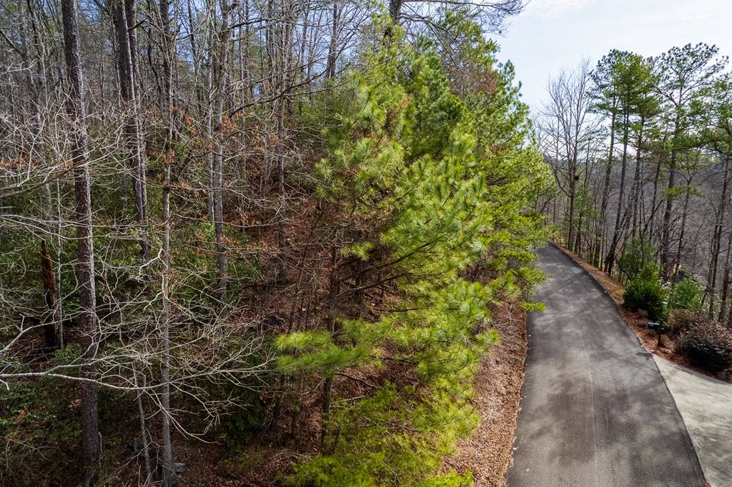 Talking Rock, GA 30175,Lot 101R Mountain Creek Hollow Drive