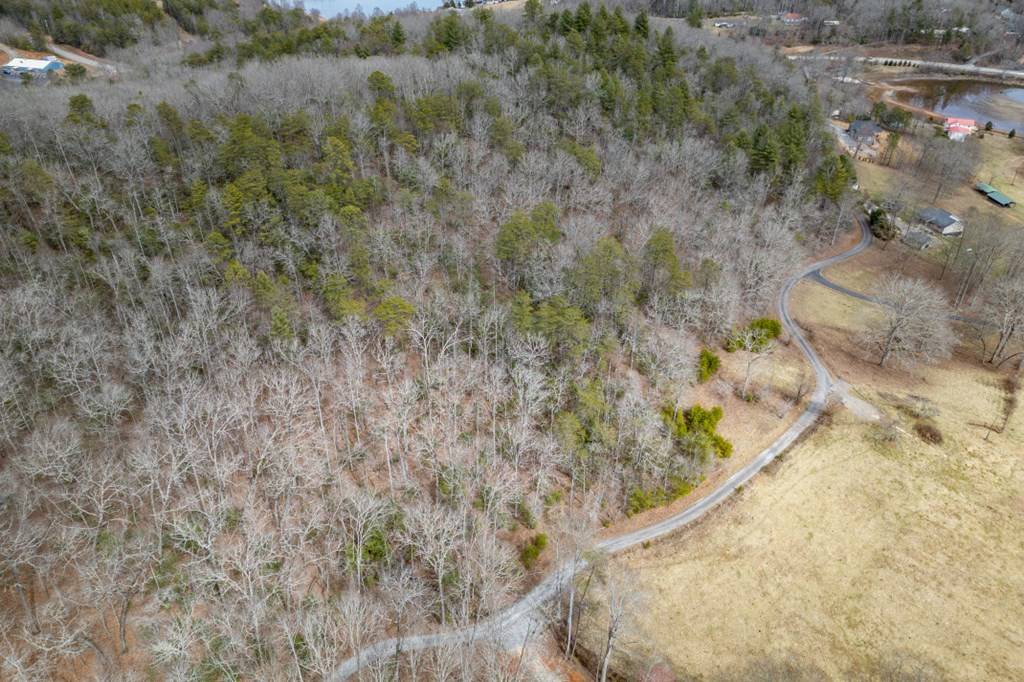 Hiawassee, GA 30546,7.3 AC Tay Walk Way