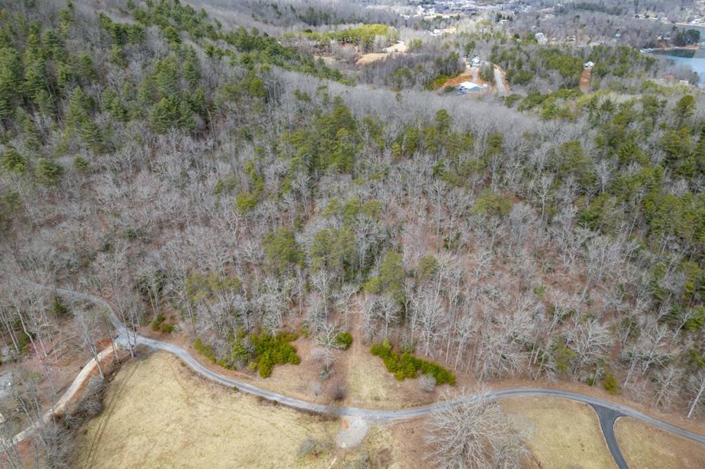 Hiawassee, GA 30546,7.3 AC Tay Walk Way